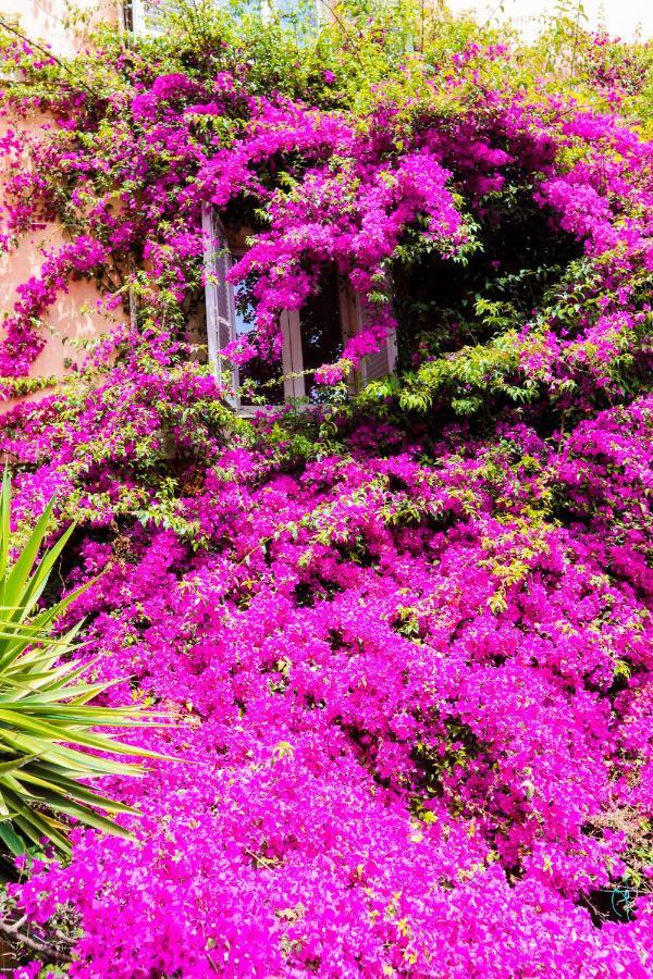 Orti 27 Garden Rome Trastevere - Rome Vacation M&D Exterior photo